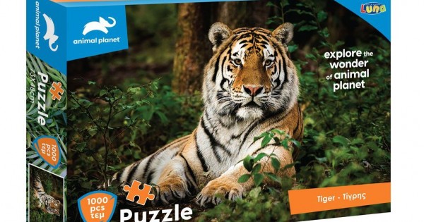 Puzzle of 100 pieces-animal planet-tiger-000570698
